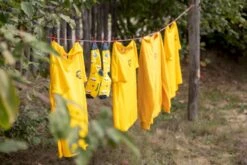 Easy Camp Spirit 300 Tunneltent - 3 Persoons - Groen -Bo-Camp || Intex || Outwell Verkoopwinkel 1267 1900 waslijn