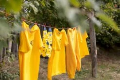 Easy Camp Eclipse 300 Tunneltent - 3 Persoons - Groen -Bo-Camp || Intex || Outwell Verkoopwinkel 1267 1900 waslijn 1