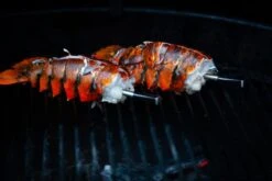 MEATER Block Met 4 Draadloze Thermometers -Bo-Camp || Intex || Outwell Verkoopwinkel 20190625 mg 6541