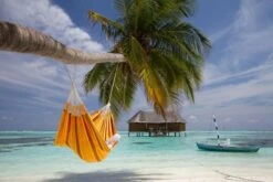 La Siesta Currambera 2 Persoons Hangmat - Apricot -Bo-Camp || Intex || Outwell Verkoopwinkel 800 1200 cuh16 5 ambiance 204