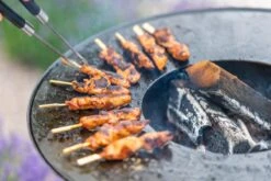 RedFire ONYX Classic Table Vuurschaal Bbq - 80 Cm -Bo-Camp || Intex || Outwell Verkoopwinkel 85208 lifestyle 06