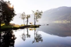 Amazonas Silk Traveller 1 Persoons Reishangmat - Techno -Bo-Camp || Intex || Outwell Verkoopwinkel a181 16 op 01 resultaat