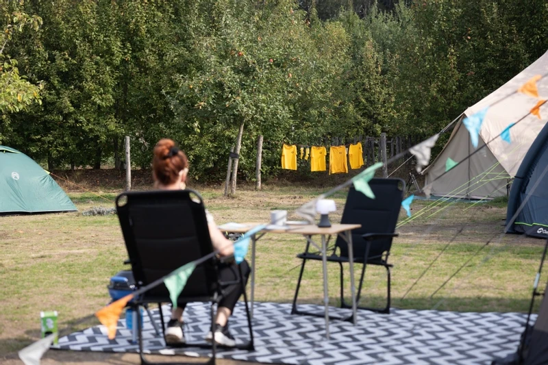 Easy Camp Galaxy 400 Steel Blue Tunneltent - 4 Personen 6 Easy Camp Galaxy 400 Steel Blue Tunneltent - 4 Personen - Afbeelding 6