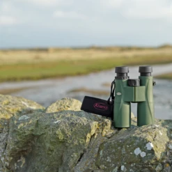 Kowa BDII XD Verrekijker - 10x32 Mm -Bo-Camp || Intex || Outwell Verkoopwinkel kowa bdii xd verrekijker 6 5 x 32 11 1